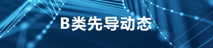 B類(lèi)先導(dǎo)動(dòng)態(tài)